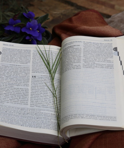 A Bíblia e a experiência com Deus: luz nos caminhos de ontem e de hoje